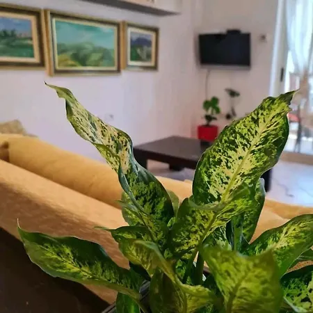 Cozy At Pazari I Ri * Τίρανα